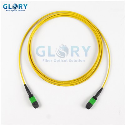 Cable de fibra Mpo 12